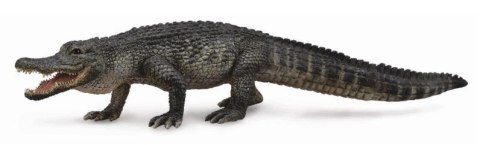COLLECTA ALIGATOR AMERYKAŃSKI COLLECTA ALIGATOR AMERYKAŃSKI