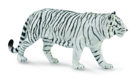 COLLECTA BIAŁY TYGRYS COLLECTA BIAŁY TYGRYS