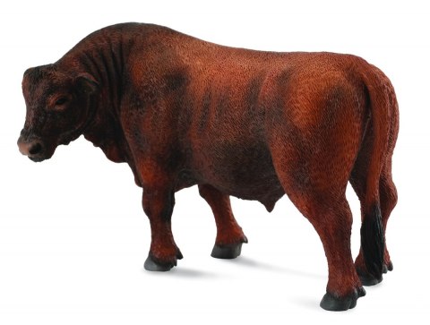 COLLECTA BYK CZERWONY ANGUS COLLECTA BYK CZERWONY ANGUS