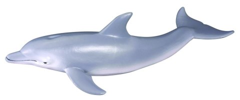 COLLECTA DELFIN BUTLONOSY COLLECTA DELFIN BUTLONOSY