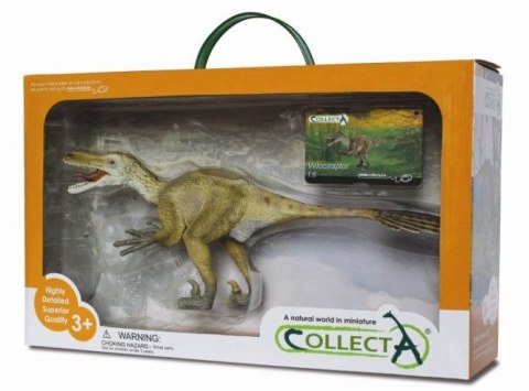 COLLECTA DINOZAUR VELOCIRAPTOR W OPAKOWANIU (DELUXE) COLLECTA DINOZAUR VELOCIRAPTOR W OPAKOWANIU (DELUXE)