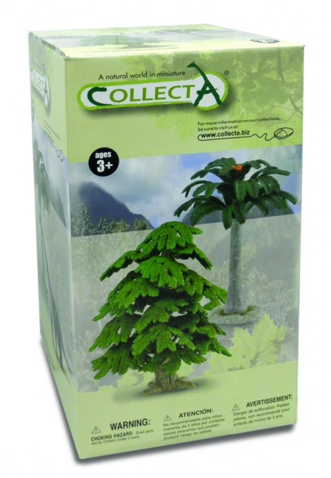 COLLECTA DRZEWO GINKO BILOBA COLLECTA DRZEWO GINKO BILOBA