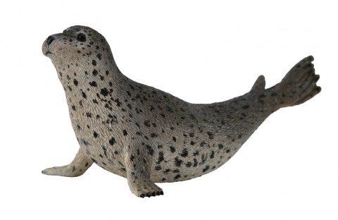 COLLECTA FOKA PSTRA COLLECTA FOKA PSTRA