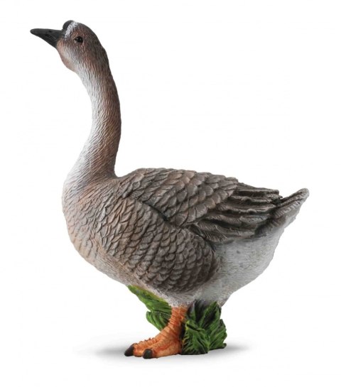 COLLECTA GĘŚ COLLECTA GĘŚ