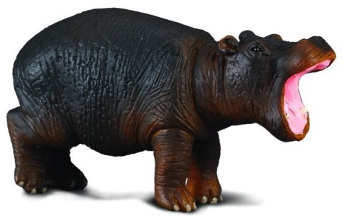 COLLECTA HIPOPOTAM MŁODY COLLECTA HIPOPOTAM MŁODY