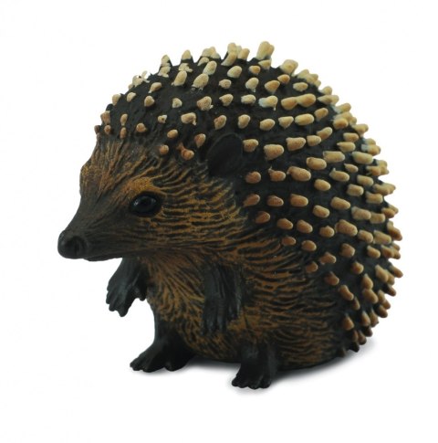 COLLECTA JEŻ COLLECTA JEŻ