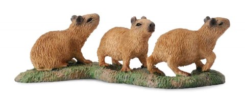 COLLECTA KAPIBARA MŁODE COLLECTA KAPIBARA MŁODE