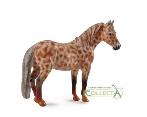 COLLECTA KLACZ BRITISH SPOTTED PONY MAŚCI KASZTAN COLLECTA KLACZ BRITISH SPOTTED PONY MAŚCI KASZTAN