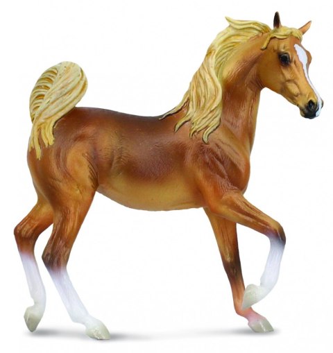 COLLECTA KLACZ RASY ARABSKIEJ MAŚCI GOLDEN CHESTNUT COLLECTA KLACZ RASY ARABSKIEJ MAŚCI GOLDEN CHESTNUT
