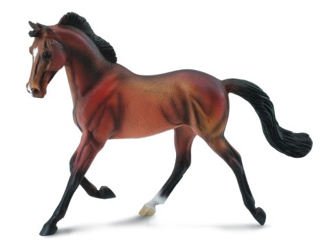 COLLECTA KLACZ THOROUGHBRED MAŚCI BAY COLLECTA KLACZ THOROUGHBRED MAŚCI BAY