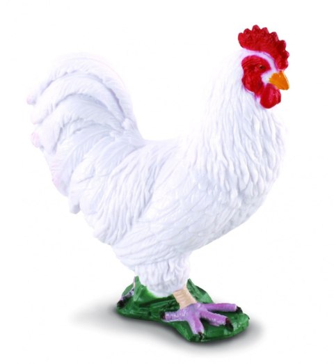 COLLECTA KOGUT BIAŁY COLLECTA KOGUT BIAŁY