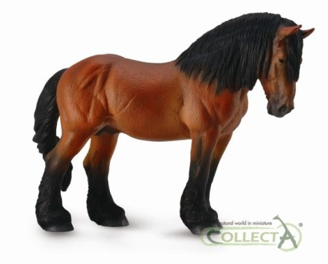 COLLECTA KOŃ ARDEŃSKI MAŚCI GNIADEJ COLLECTA KOŃ ARDEŃSKI MAŚCI GNIADEJ