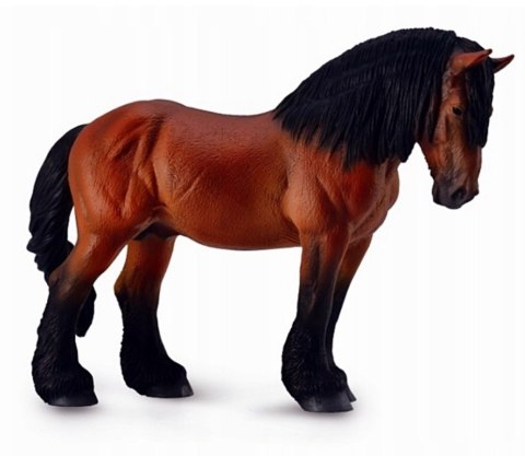 COLLECTA KOŃ ARDEŃSKI MAŚCI GNIADEJ COLLECTA KOŃ ARDEŃSKI MAŚCI GNIADEJ