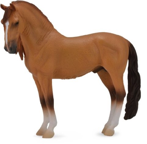 COLLECTA KOŃ CAMPOLINA STALLION RED DUN COLLECTA KOŃ CAMPOLINA STALLION RED DUN