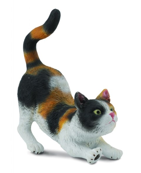COLLECTA KOT DOMOWY PRZECIĄGAJĄCY SIĘ TRZYKOLOROWY COLLECTA KOT DOMOWY PRZECIĄGAJĄCY SIĘ TRZYKOLOROWY