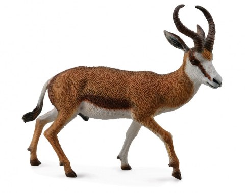 COLLECTA KOZICA SPRINGBOK COLLECTA KOZICA SPRINGBOK