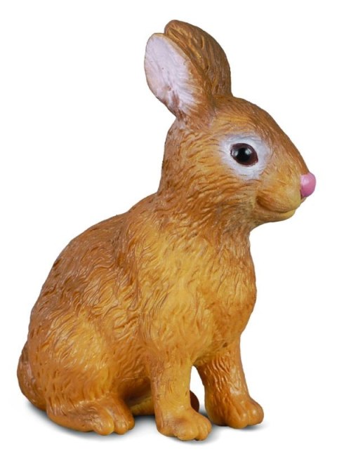 COLLECTA KRÓLIK COLLECTA KRÓLIK