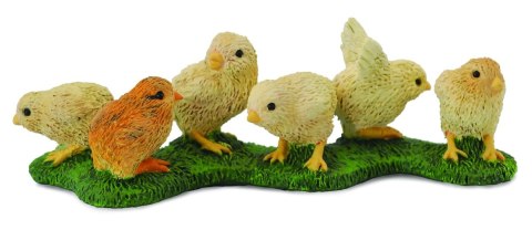 COLLECTA KURCZAKI COLLECTA KURCZAKI