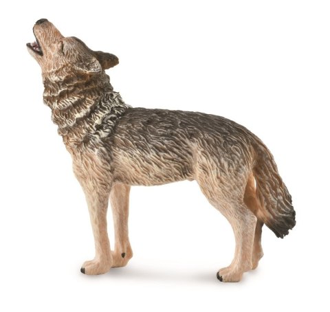 COLLECTA LEŚNY WILK WYJĄCY COLLECTA LEŚNY WILK WYJĄCY