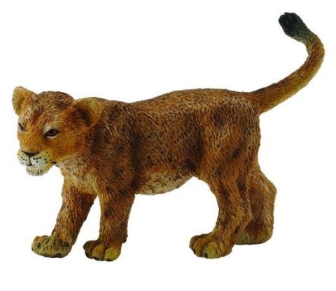 COLLECTA LWIĄTKO IDĄCE COLLECTA LWIĄTKO IDĄCE