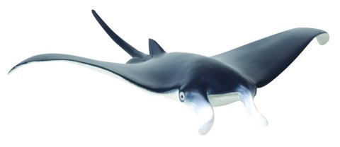 COLLECTA MANTA DIABEŁ MORSKI COLLECTA MANTA DIABEŁ MORSKI