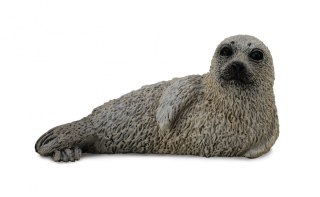 COLLECTA MŁODA FOKA PSTRA
