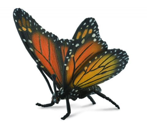 COLLECTA MOTYL KRÓLEWSKI COLLECTA MOTYL KRÓLEWSKI