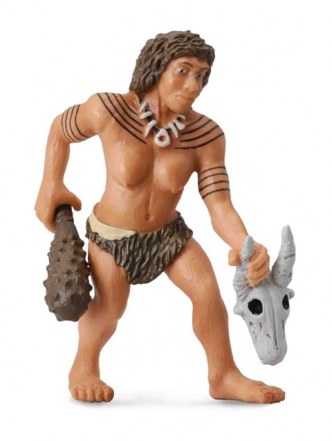 COLLECTA NEARDELTAŃCZYK KOBIETA COLLECTA NEARDELTAŃCZYK KOBIETA