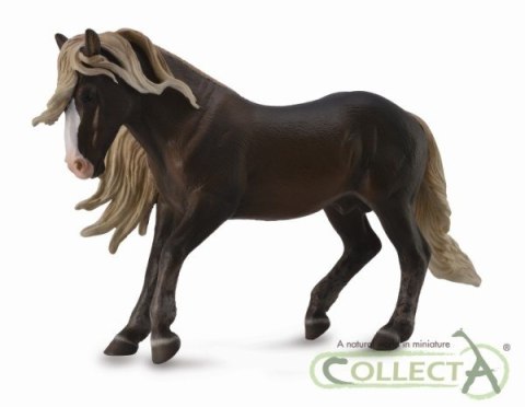COLLECTA OGIER KOŃ SZWARCWALDZKI COLLECTA OGIER KOŃ SZWARCWALDZKI