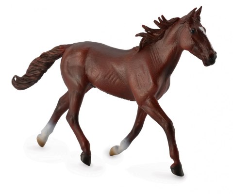 COLLECTA OGIER STANDARDBRED PACER KASZTANOWY COLLECTA OGIER STANDARDBRED PACER KASZTANOWY