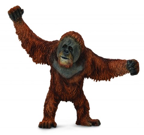 COLLECTA ORANGUTAN COLLECTA ORANGUTAN