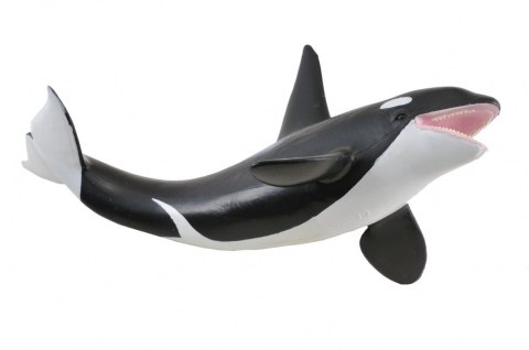 COLLECTA ORKA COLLECTA ORKA