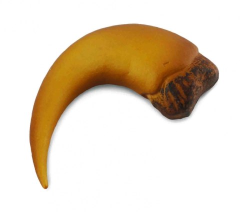 COLLECTA PAZUR BARIONYKSA W OPAKOWANIU COLLECTA PAZUR BARIONYKSA W OPAKOWANIU