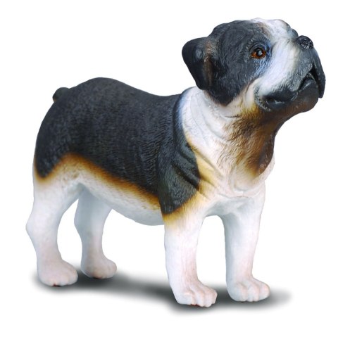 COLLECTA PIES RASY BULDOG COLLECTA PIES RASY BULDOG
