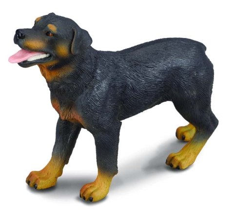 COLLECTA PIES RASY ROTTWEILER COLLECTA PIES RASY ROTTWEILER
