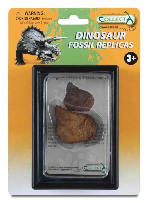 COLLECTA PŁYTKA GRZBIETU STEGOZAURA W OPAKOWANIU COLLECTA PŁYTKA GRZBIETU STEGOZAURA W OPAKOWANIU