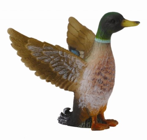 COLLECTA SAMIEC KACZKI KRZYŻÓWKI COLLECTA SAMIEC KACZKI KRZYŻÓWKI