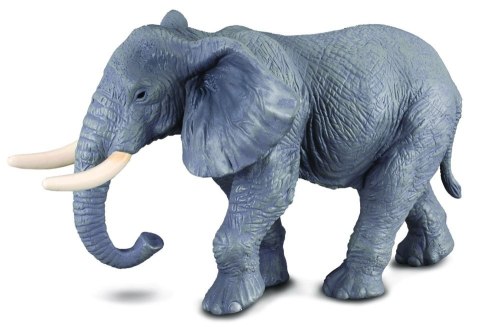 COLLECTA SŁOŃ AFRYKAŃSKI COLLECTA SŁOŃ AFRYKAŃSKI