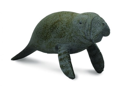 COLLECTA SŁOŃ MORSKI MŁODY PŁYWAJĄCY COLLECTA SŁOŃ MORSKI MŁODY PŁYWAJĄCY
