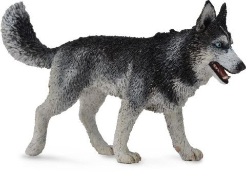 COLLECTA SYBERYJSKI HUSKY COLLECTA SYBERYJSKI HUSKY