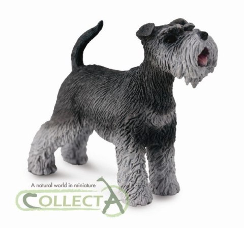 COLLECTA SZNAUCER COLLECTA SZNAUCER