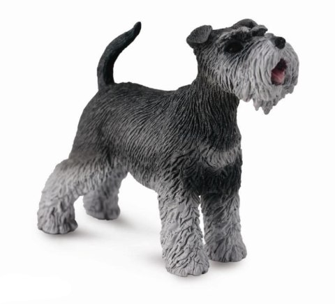 COLLECTA SZNAUCER COLLECTA SZNAUCER