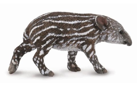 COLLECTA TAPIR CIELĘ BAIRDA COLLECTA TAPIR CIELĘ BAIRDA