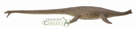 COLLECTA THALASSOMEDON SKALA 1:40 (DELUXE) COLLECTA THALASSOMEDON SKALA 1:40 (DELUXE)