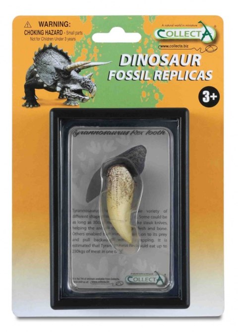 COLLECTA ZĄB TYRANOZAURA W OPAKOWANIU COLLECTA ZĄB TYRANOZAURA W OPAKOWANIU