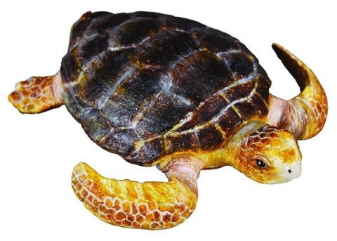 COLLECTA ŻÓŁW KARETTA COLLECTA ŻÓŁW KARETTA