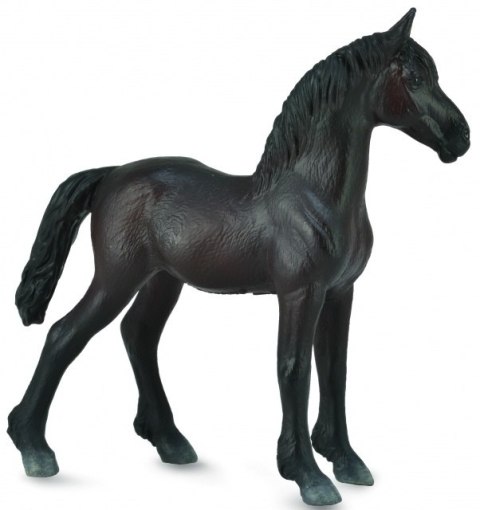 COLLECTA ŻREBIĘ FRIESIAN CZARNE COLLECTA ŻREBIĘ FRIESIAN CZARNE