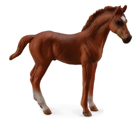 COLLECTA ŹREBIĘ STOJĄCE THOROUGHBRED CHESNUT COLLECTA ŹREBIĘ STOJĄCE THOROUGHBRED CHESNUT