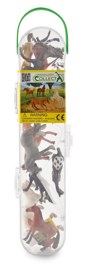 COLLECTA BOX Z MINIKOŃMI COLLECTA BOX Z MINIKOŃMI