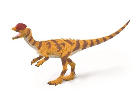 COLLECTA DINOZAUR DILOFOZAUR SKALA 1:40 COLLECTA DINOZAUR DILOFOZAUR SKALA 1:40